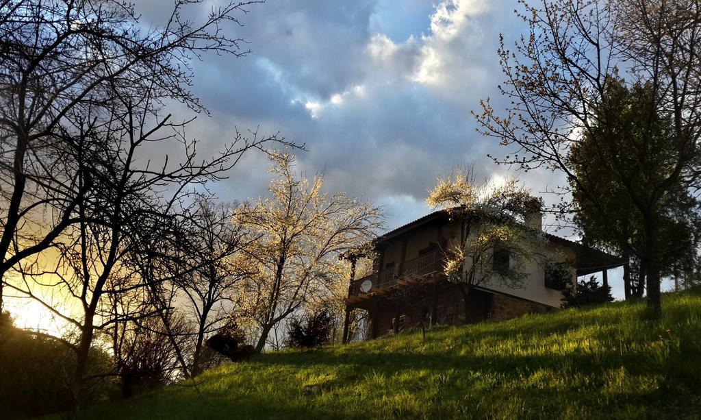 Golden Horn Guest House Iskrets Exterior foto